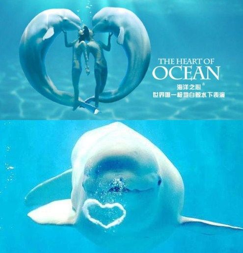 哈尔滨春节旅游攻略自由行 (哈尔滨春节期间合适去哪里玩)