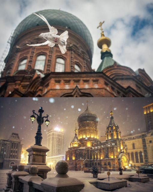 哈尔滨春节旅游攻略自由行 (哈尔滨春节期间合适去哪里玩)