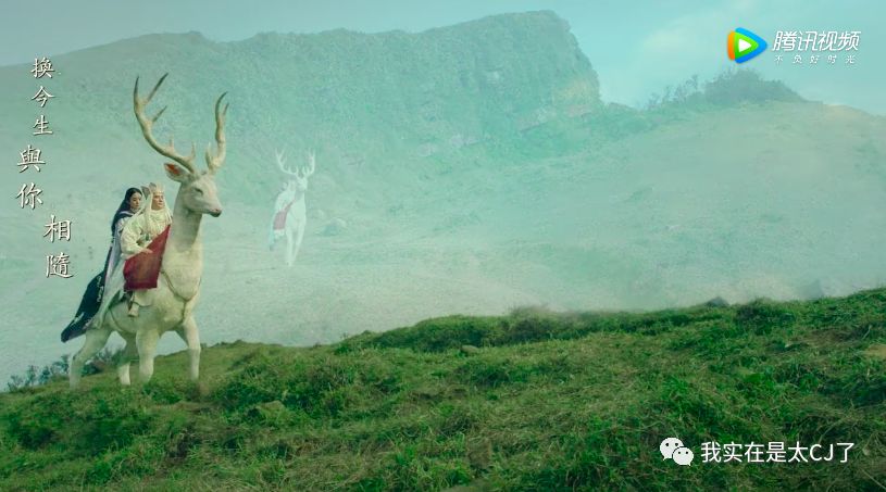 春节档8部电影哪部最好看,过年5部电影哪部值得看