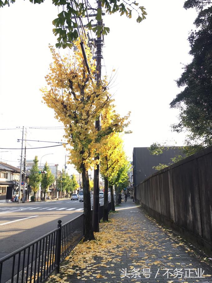 旅行|CoordinateBook06-No.535.0116°N,135.7680°E京都