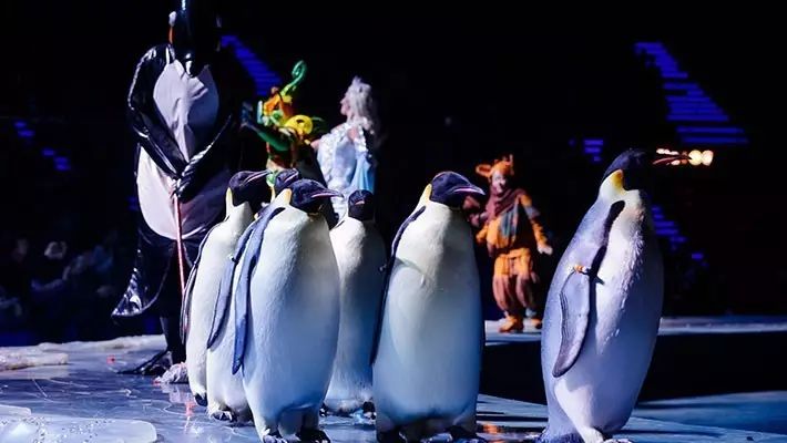 去珠海长隆海洋王国住哪里好,珠海长隆海洋王国烟花时间表