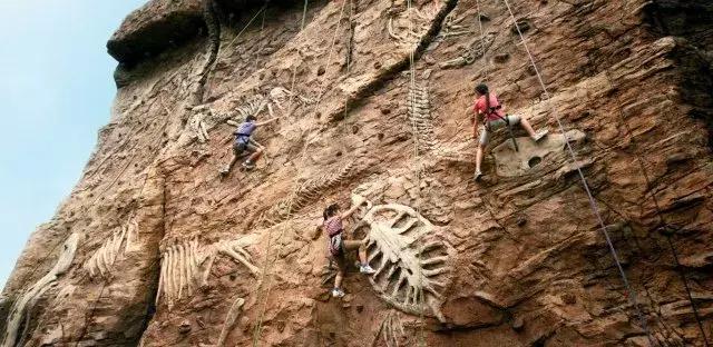 新加坡环球影城二十四座游乐设施,新加坡环球影城主题乐园图片