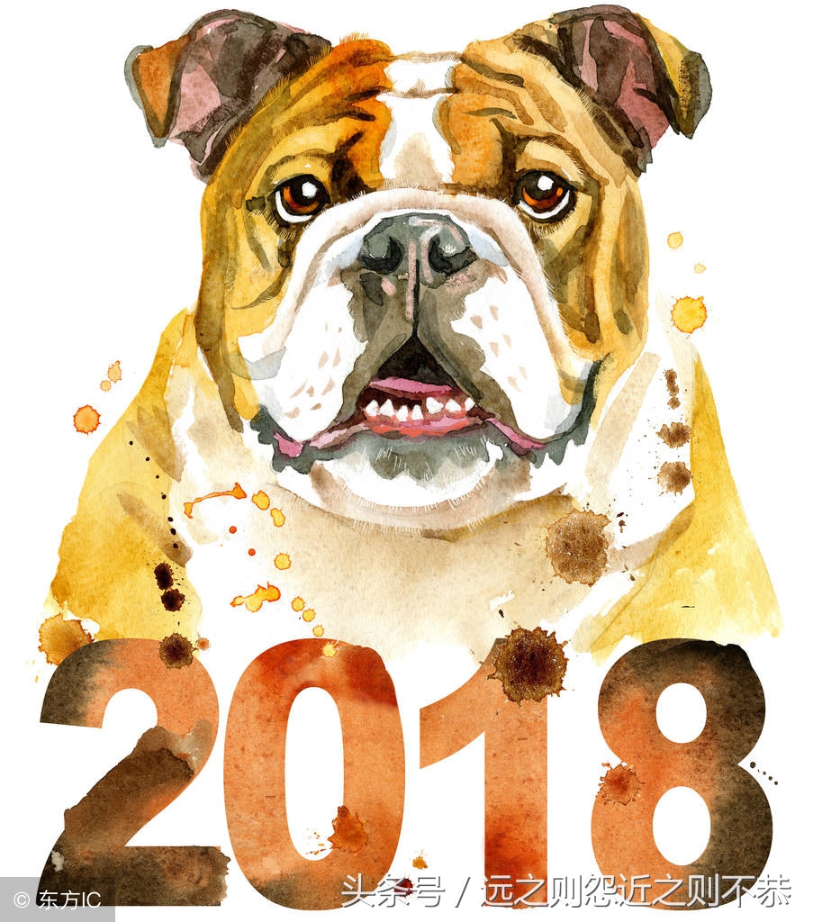 属狗人本命年运势2018,属狗人2018本命年运势