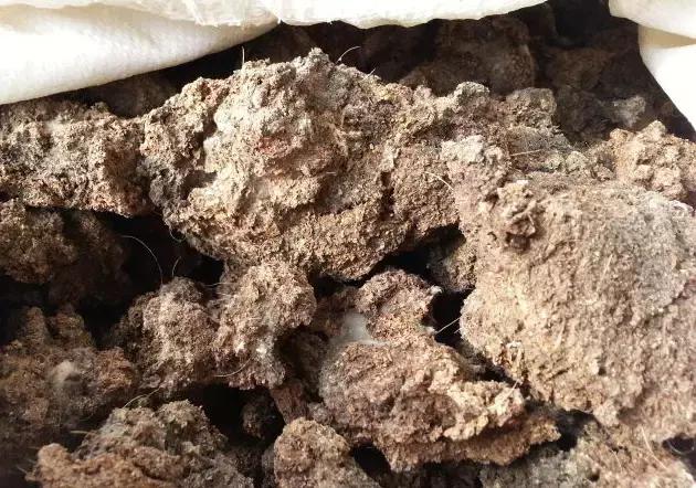 鸡粪牛粪羊粪还有马粪哪个营养好,羊粪牛粪猪粪鸡粪哪种好