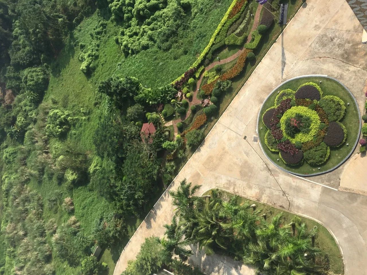 长寿乡，城中央，养老还看丽海日照