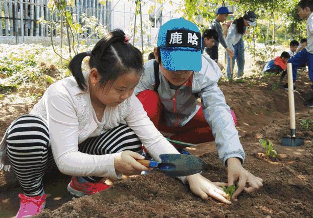 番禺农家乐一日游最佳地点,广州番禺亲子游农庄