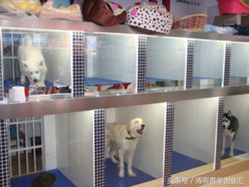 小本创业加盟赚钱点子有哪些,目前最合适投资的小本创业项目