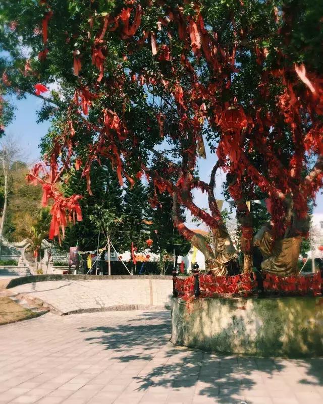 深圳旅游免费全攻略,深圳旅游指南最新版全文解读