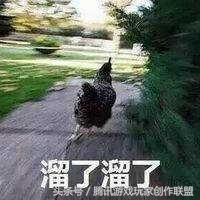 绝地求生刺激战场搞笑视频坑队友,搞笑绝地求生刺激战场搞笑视频