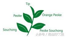 斯里兰卡锡兰红茶在哪,斯里兰卡锡兰红茶推荐