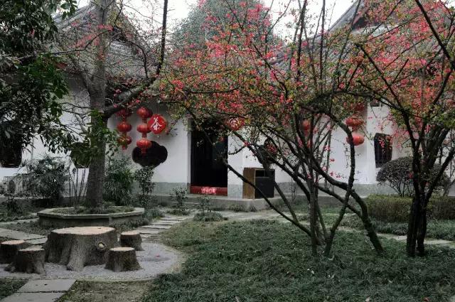 海棠花全部盛开,中国最大的海棠花观赏地