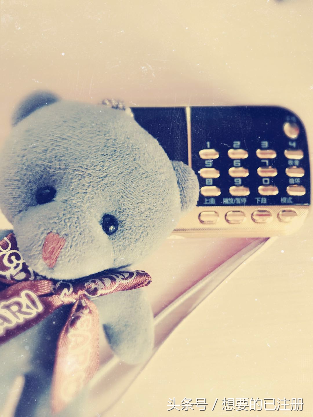 二胎时期我的幸福之旅,我们的二胎之路