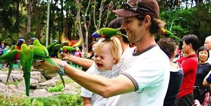 澳洲护照有什么待遇,澳洲对中国开放最新签证