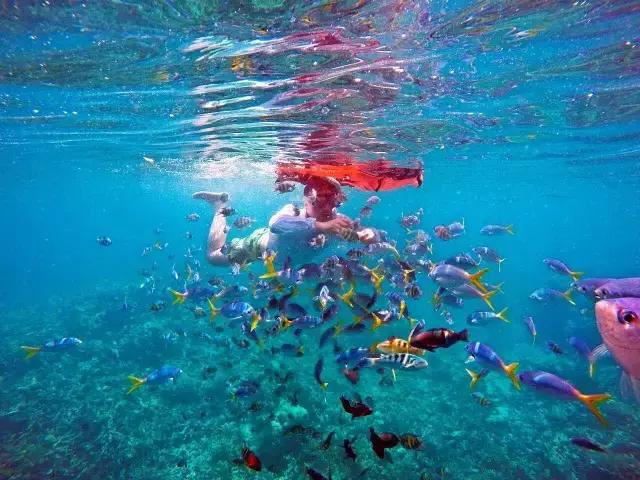 帕劳群岛隐藏攻略,帕劳旅游的优点和缺点