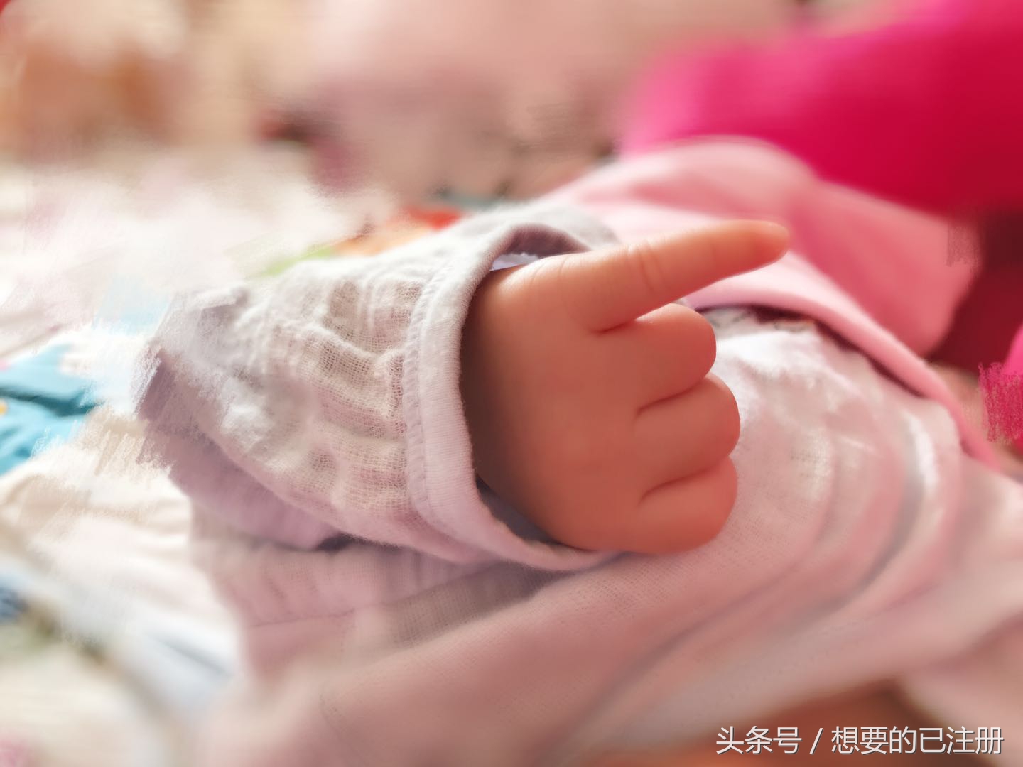 二胎时期我的幸福之旅,我们的二胎之路