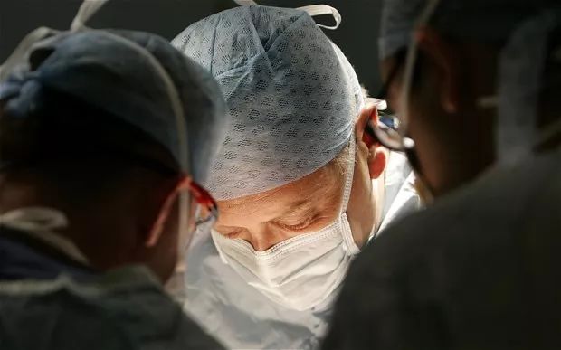 五脏六腑与其他组织的关系,五脏六腑都是独立的器官