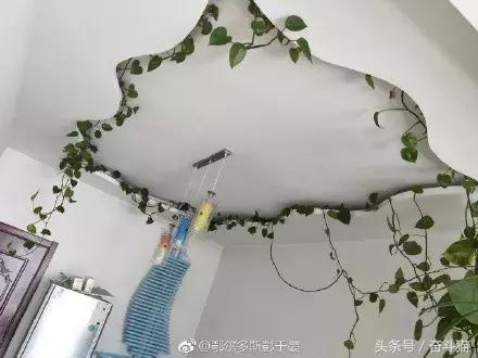 报告毛主席，我要换妈妈（看完笑死的宝宝们别找我，不关我事）~