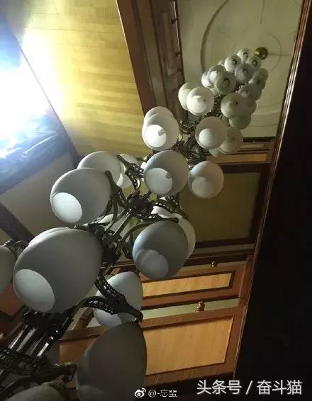 报告毛主席，我要换妈妈（看完笑死的宝宝们别找我，不关我事）~