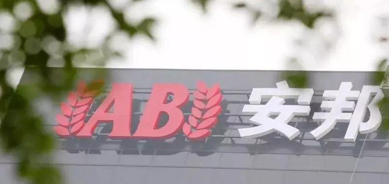 李若山谈内控,安邦保险被接管对同行有什么启示