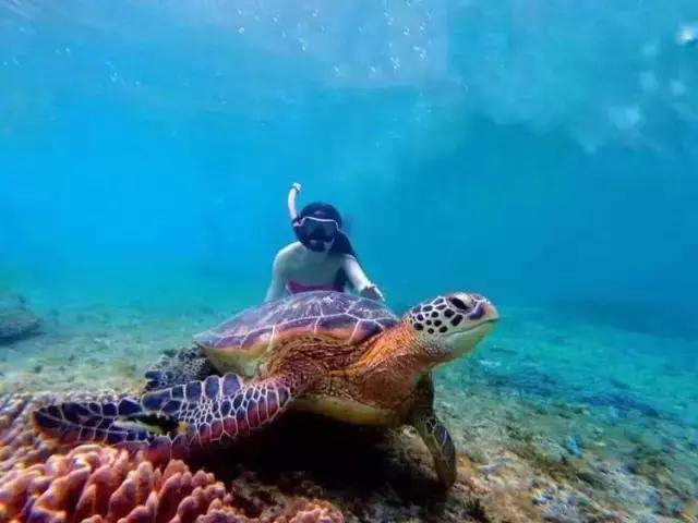 帕劳群岛隐藏攻略,帕劳旅游的优点和缺点