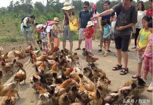 一周致富锦囊经典语录,四条致富指南请你用心收藏