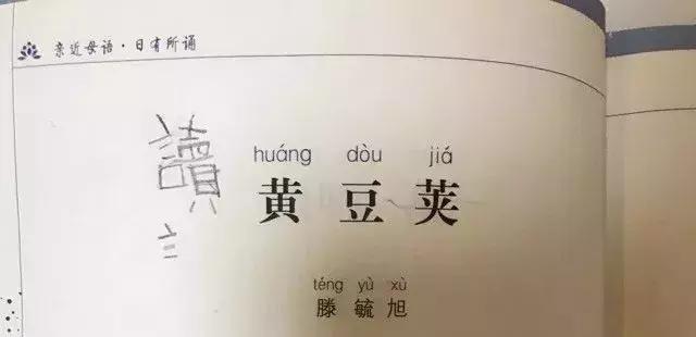 怎么学英语零基础入门4岁孩子,带着女儿一起学英语