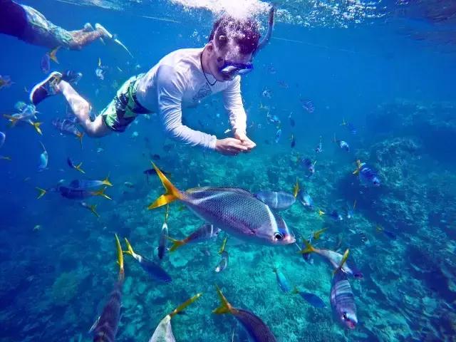 帕劳群岛隐藏攻略,帕劳旅游的优点和缺点