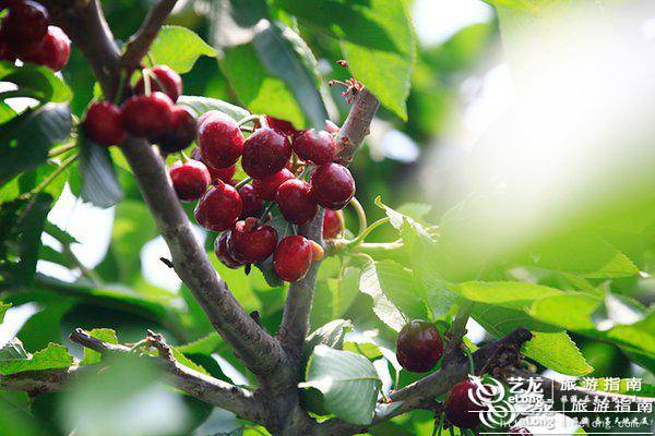 北京最全旅游攻略,北京旅游超全攻略最新