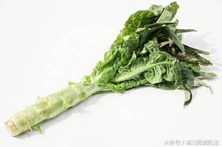 宝宝上火别着急3招教你如何搞定,宝宝上火别耽搁对症治疗是要害