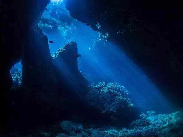 帕劳潜水最好的季节,帕劳潜水好玩的地方