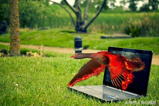 3步帮你解决ps卡顿运行太慢的问题,我的电脑打开ps就很卡怎么办啊