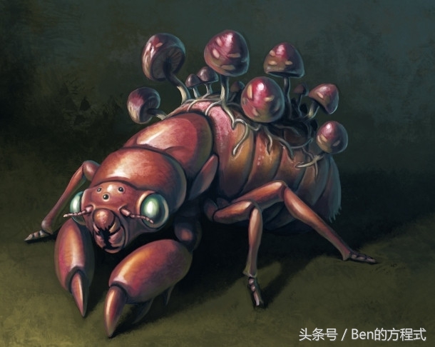 盘点神奇宝贝动漫,动画版神奇宝贝漫画特别篇解说