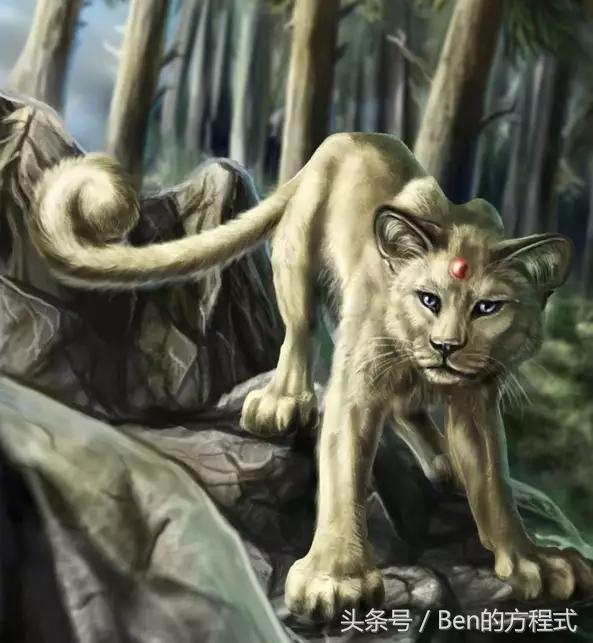 盘点神奇宝贝动漫,动画版神奇宝贝漫画特别篇解说