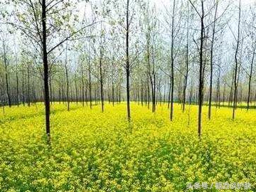 甄垚谈护肤公众号,甄垚谈护肤