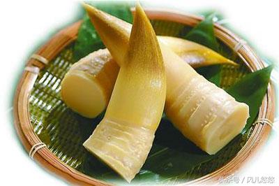 罗汉竹竹笋的功效与功能,毛竹麻竹箭竹楠竹的区别