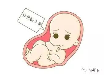 预产期期待宝宝的到来,宝宝预产期第七十天