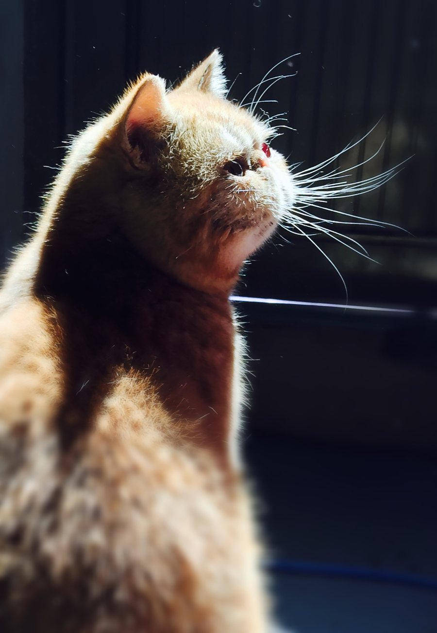 语文材料文章的四种审题立意方法,写作审题的方法与技巧