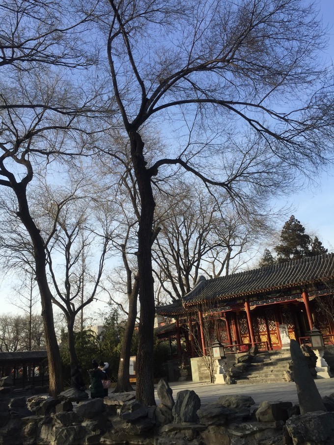 冬天去哪里旅游暖和特色美食,冬季游玩攻略美食推荐