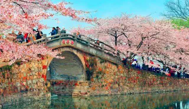 赏花小众景点,发现一处绝美赏花打卡地