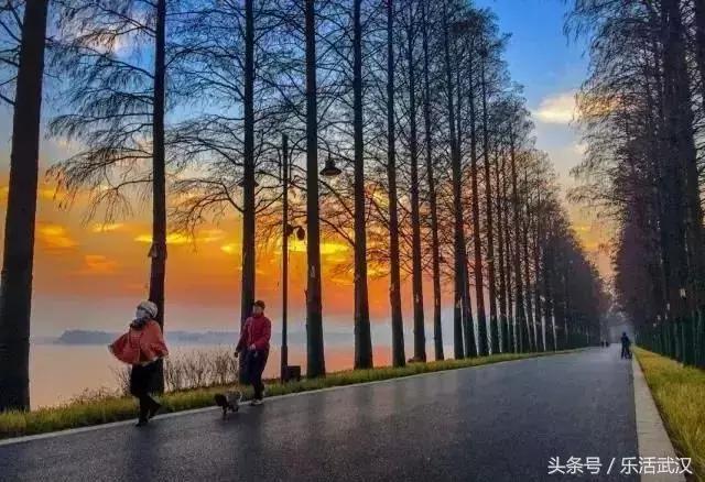 在武汉收入多少能够过上体面生活 (在武汉月薪多少才能养活)