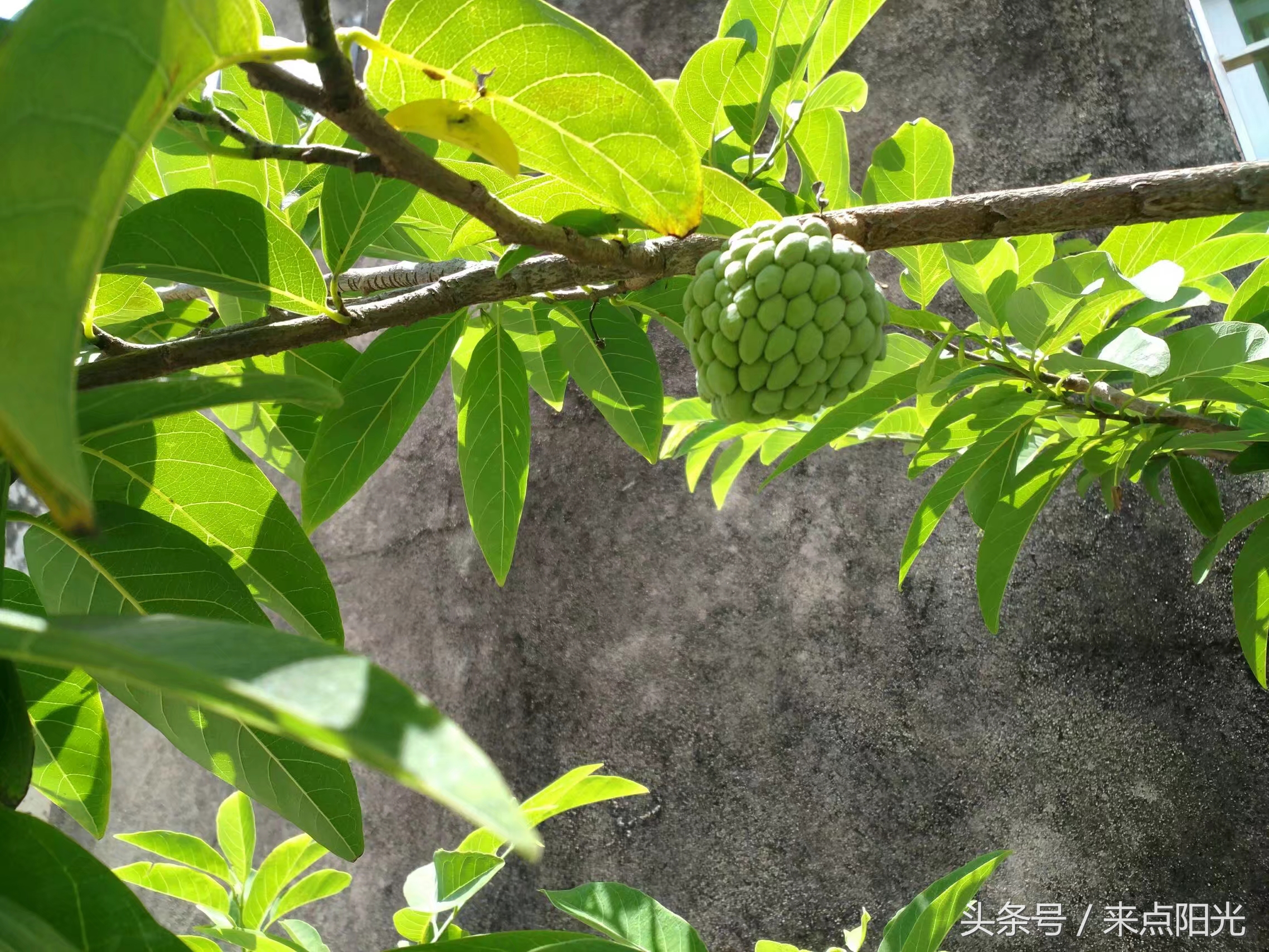 世界很大我很小完全版,江门台山浪琴湾基地