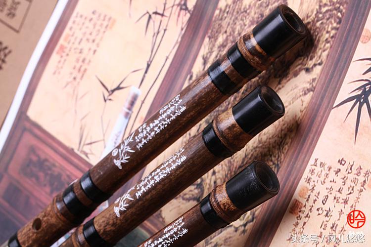 罗汉竹竹笋的功效与功能,毛竹麻竹箭竹楠竹的区别