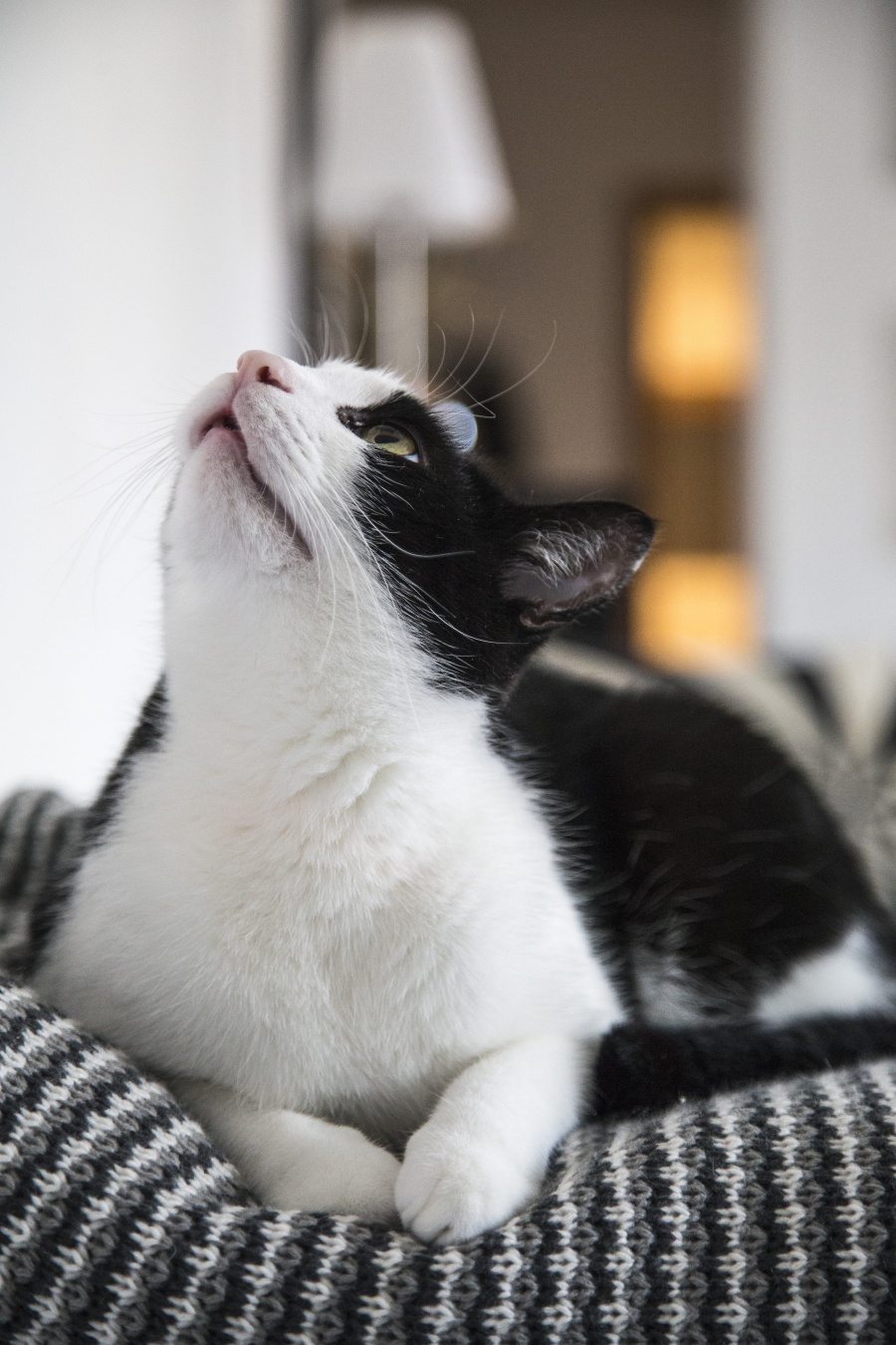 语文材料文章的四种审题立意方法,写作审题的方法与技巧