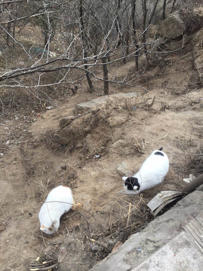 冬天去哪里旅游暖和特色美食,冬季游玩攻略美食推荐
