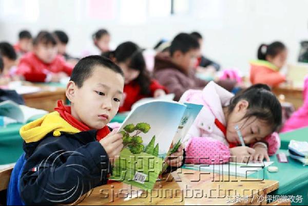 重庆市沙坪坝区开学第一课,小学生开学第一天纪录片完全版