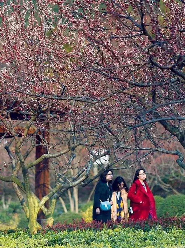 湖州这个季节去哪玩,湖州三月份合适去哪旅游
