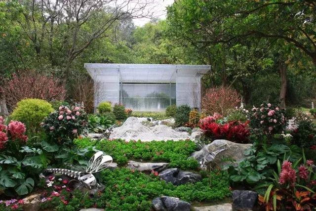 还没看的景点,大夫山最美景色