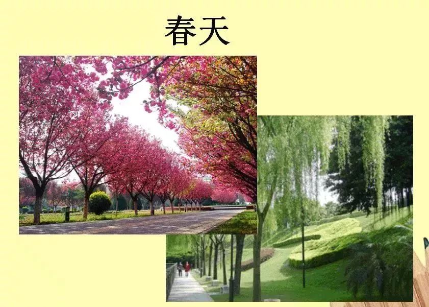 一年级道德与法治上册教案与课件,五年级道德与法治上册教案和课件