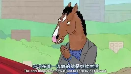 养蛙的告捷经历,养蛙的感受和体验