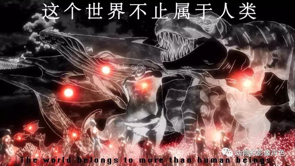 顶级汗血宝马怎么培育,汗血宝马能够培育吗